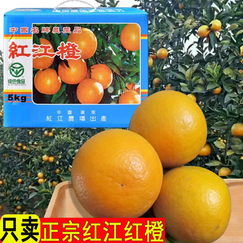 正宗廉江红橙红江橙新鲜当季水果现摘手剥薄皮红江农场甜橙子10斤,水产肉类/新鲜蔬果/熟食,橙,淘宝优惠券,粉丝福利购,淘宝优惠卷