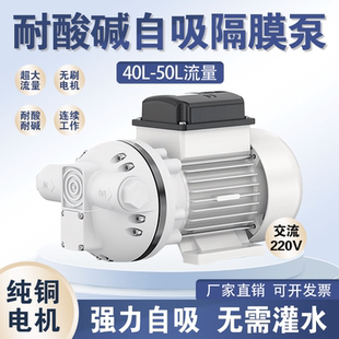 大流量耐酸碱自吸水泵耐腐蚀化工泵抽洗衣液抽酸抽酒泵电动隔膜泵