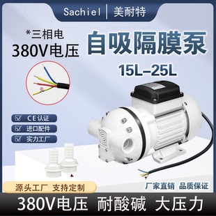 三相小型隔膜泵380V耐酸碱自吸防腐蚀增压泵抽强硫酸硝酸加药水泵