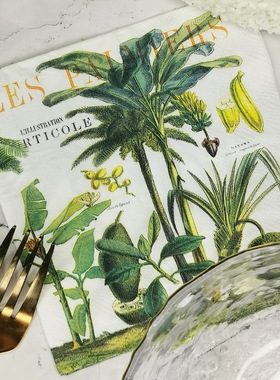 彩色木浆餐巾纸个性印花纸巾蝶骨巴特手帕纸25x25cm椰树