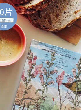 印花蝶古巴特个性口布2层餐巾纸