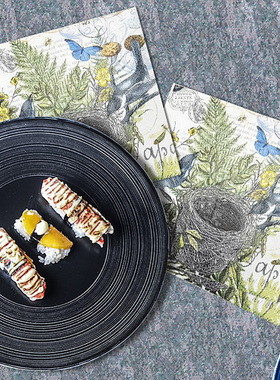 灰色鸟巢25x25cm餐巾纸家用面巾纸彩色厨房用纸擦手纸巾