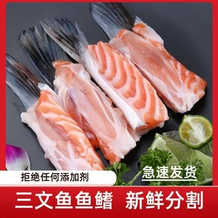 新鲜三文鱼发货正宗冰鲜三文鱼鳍翅中段鱼翅三文鱼骨架非挪威