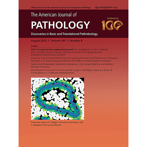 【全年订阅】American Journal of Pathology 美国病理学杂志 英文原版进口 年订12期 美国出版 期刊杂志 报刊书籍