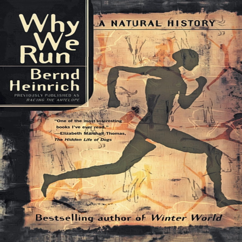 【预售 按需印刷】英文小说 Why We Run A Natural History 英文正版 我们为什么奔跑 进口书