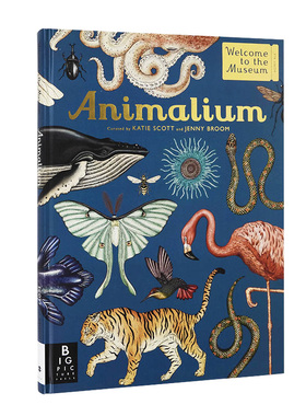 【中图原版】welcome to the museum-animalium 欢迎光临博物馆—动物 科普 百科全书 进口原版书籍