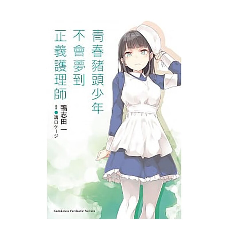 轻小说青春猪头少年系列11