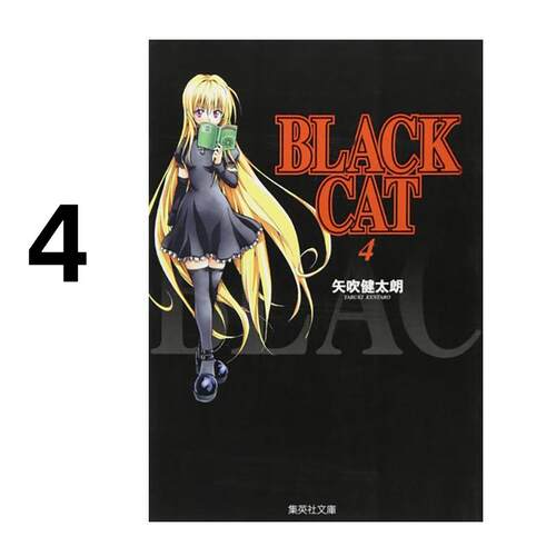 现货 漫画 BLACK CAT 黑猫 爱藏版 4 台版漫画书 东立出版社 繁体中文 全套画集日本动漫小说正版原著书籍