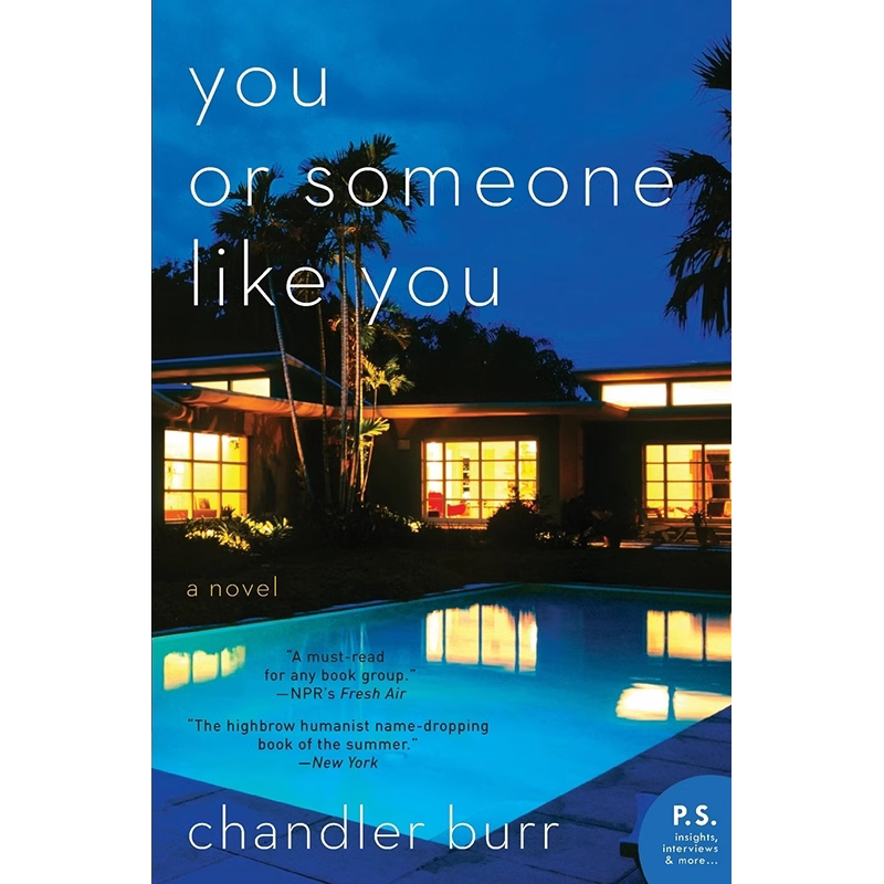 【预售 按需印刷】英文小说 你或像你这样的人 英文正版 You or Someone Like You 进口书