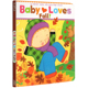 Lift 纸板翻翻书 Flap Baby 英文原版 宝宝爱秋天 中图原版 Karen the Katz Book 卡伦卡茨 Loves 儿童启蒙英文绘本 Fall