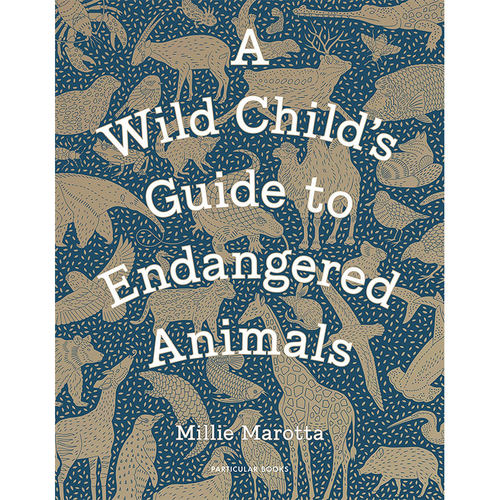 A Wild Child's Guide to Endangered Animals 野生动物指南 濒临灭绝的动物 英文原版 marotta millie 绘画画册画集科普 英语书籍