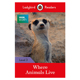 Live Ladybird Level3动物生活 英文 Readers Animals 分级阅读趣味插画绘本儿童书籍 地方瓢虫读者3级 Where 英文原版 英语书籍