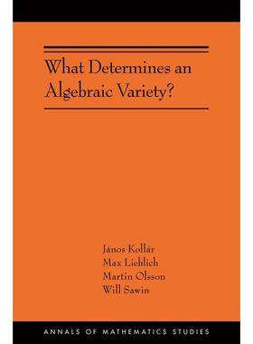 【预售 按需印刷】What Determines an Algebraic Variety? 英文原版 纯全英文版正版原著进口原版英语书籍