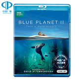 DISC SET 碟片3000077343 中图音像 唱片 蓝色星球第二季