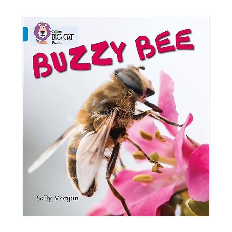 CollinsBigCatPhonics