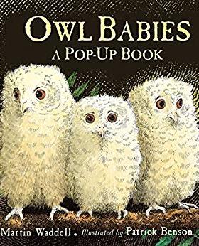 猫头鹰宝宝 立体书 英文原版绘本 Owl Babies Pop Up 精装 廖彩杏书单 启蒙认知 Martin Waddell马丁韦德尔 英文正版原著英语书籍