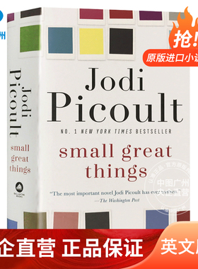 small great things 渺小的伟大姐姐的守护者作者 朱迪皮考特新作Jodi Picoult 英文原版 纯全英文版正版原著进口原版英语书籍