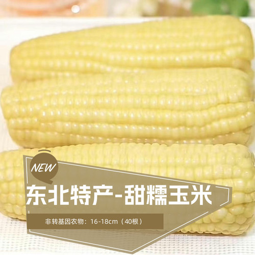 东北速冻16-18cm白糯玉米山村旺