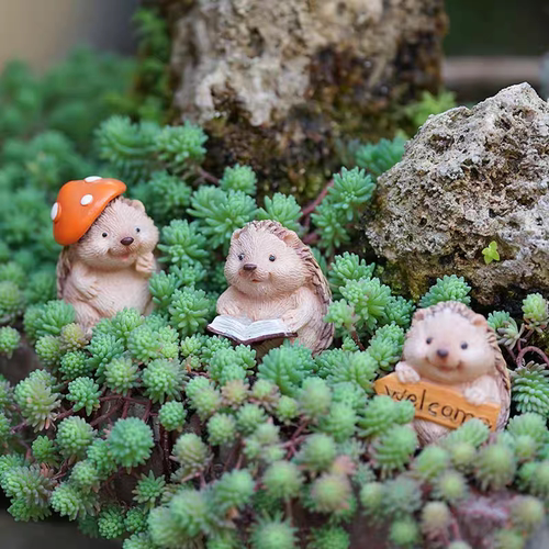 田园创意可爱多肉盆栽装饰品