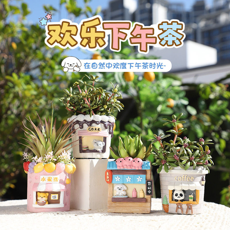 欢乐下午茶多肉花盆办公室内桌面绿植花卉办公室阳台小盆栽