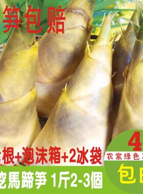 新鲜绿竹笋小笋马蹄笋脆嫩甘甜现挖夏季笋沙拉笋蔬菜水果笋4斤装
