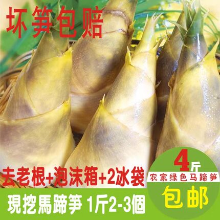 新鲜绿竹笋小笋马蹄笋脆嫩甘甜现挖夏季笋沙拉笋蔬菜水果笋4斤装