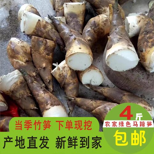 新鲜竹笋马蹄春夏大头水果蔬菜