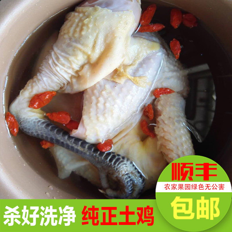 现杀新鲜月子鸡整只包邮