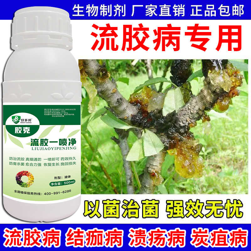 流胶病专用药果树流胶病特效药桃树梨树葡萄柚子杏李子樱桃流胶清