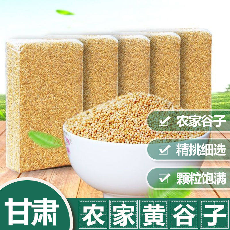 甘肃农家自产黄谷子红谷子鹦鹉玉鸟麻料鸟粮干净精选农家谷子包邮