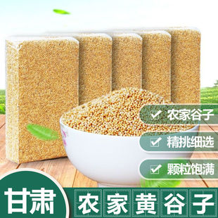 甘肃农家自产黄谷子红谷子鹦鹉玉鸟麻料鸟粮干净精选农家谷子包邮