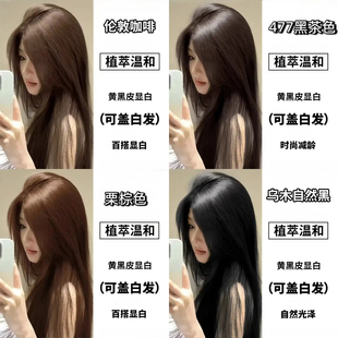 植物免漂无刺激盖白发黑茶冷棕伦敦咖啡在家染发膏剂黑茶送工具