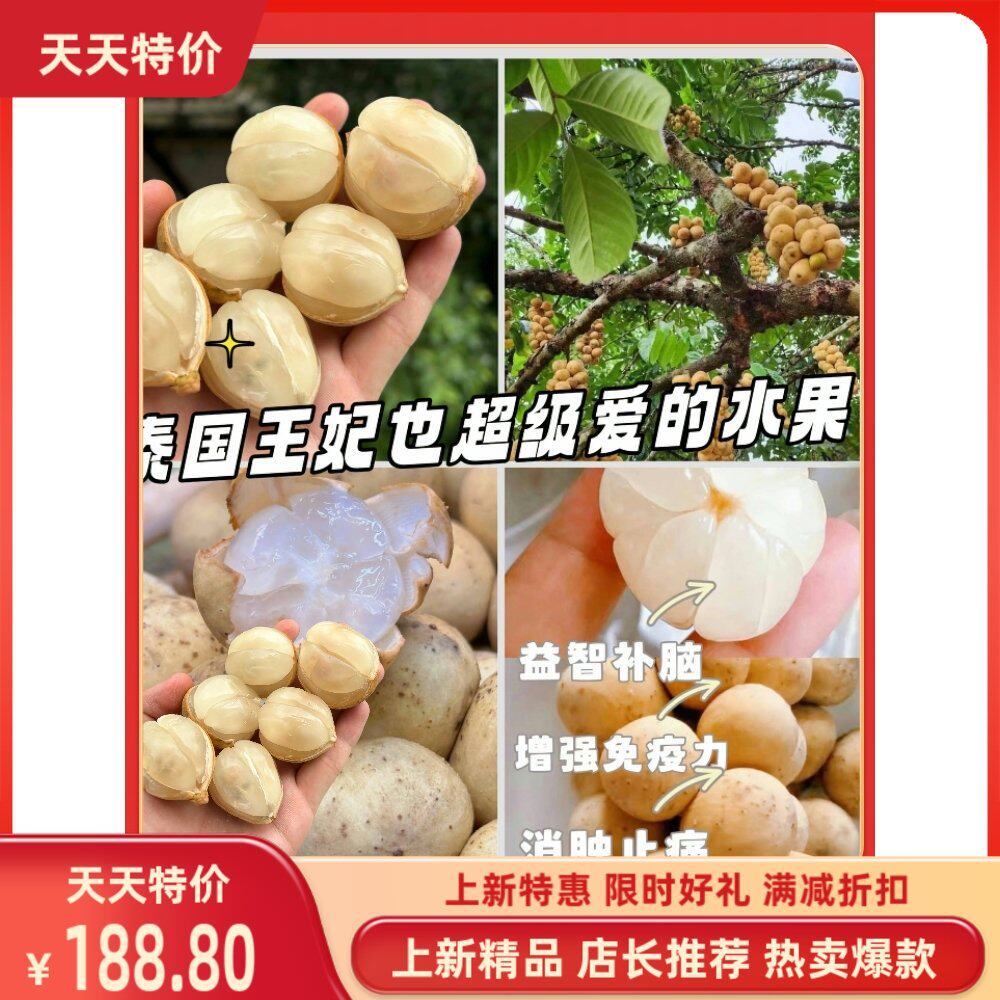 龙宫果树苗嫁接苗龙眼苗龙贡苗龙眼树苗南北方庭院种植当年结果