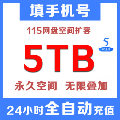 115生活网盘空间卡扩容卡套餐 1T 2T 5T 10T 20T 30T 50T 100T等