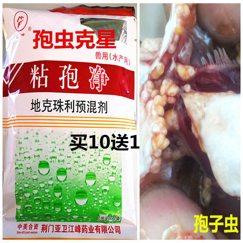 粘孢净孢虫克星灭孢子虫剂鱼虾塘孢子虫鳃孢喉孢鱼药水产养殖渔药