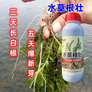 水草根壮肥长白根爆新芽促生长水产养殖虾蟹高温保草生根粉颗粒肥