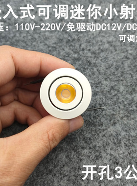 220V12V/24伏可调角度led迷你小射灯1W3W开孔3cm嵌入式展柜牛眼灯