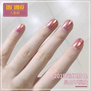 Net màu đỏ nàng tiên cá Ji nail dầu gel móng tay 2019 mới màu phổ biến ngọc trai sáng phim quang trị liệu keo cửa hàng móng tay - Sơn móng tay / Móng tay và móng chân