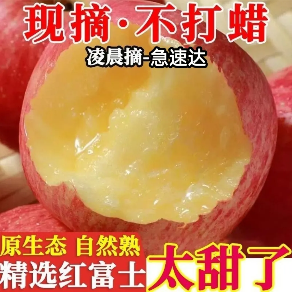 山西运城红富士苹果新鲜现摘