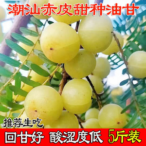十年老店优惠新鲜赤皮油甘榨汁腌制潮汕特产余牛柑孕妇水果滇橄榄