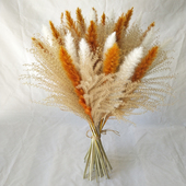 饰摆件 天然真花风干ins家居装 拂尘小芦苇蒲苇兔尾草 干花花束套装