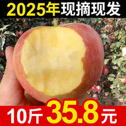 苹果水果徐州丰县大沙河苹果10斤带箱红富士冰糖心脆甜野生丑萍果