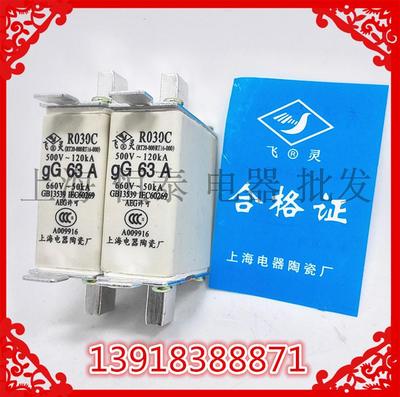 NT00CR030C熔断器飞灵RT20