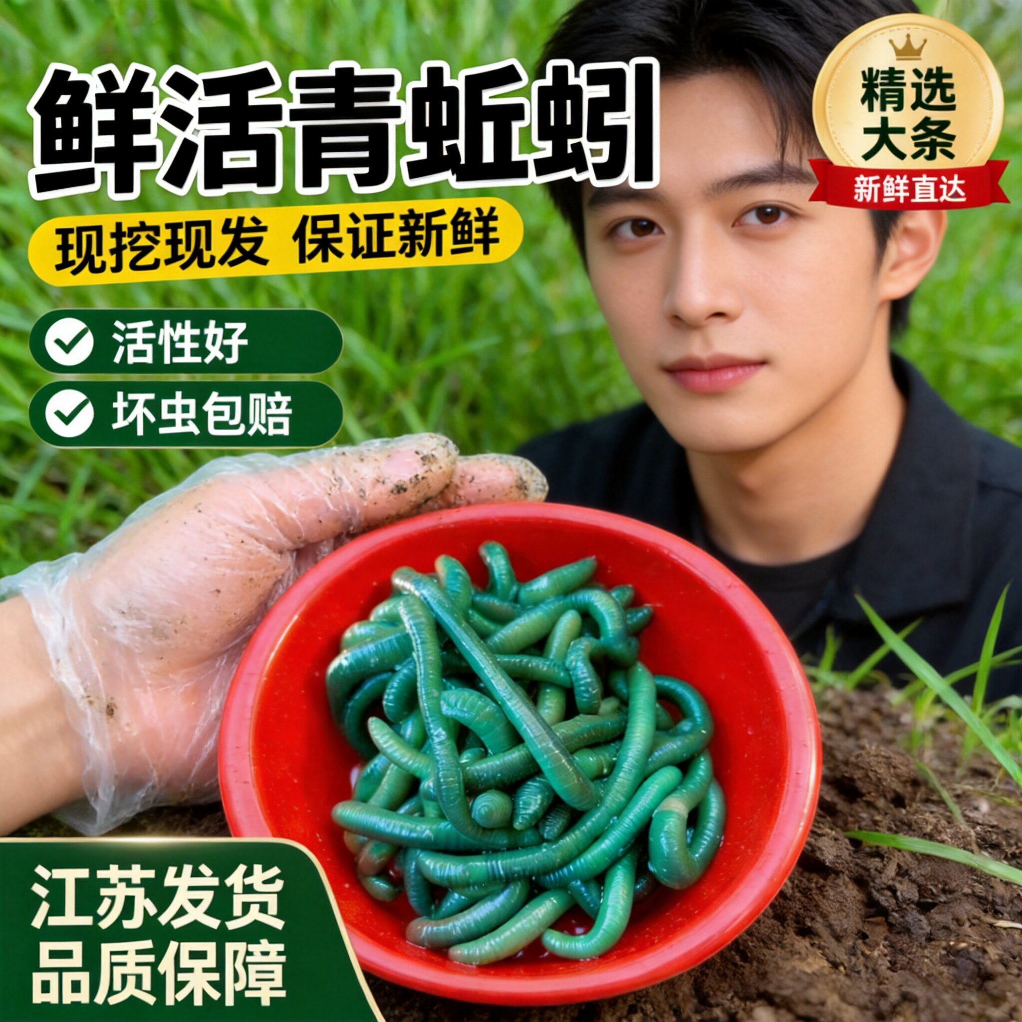 黑蚯蚓青蚯蚓特大蚯蚓钓鱼鱼饵垂钓钓黄鳝活饵活体臭蚯蚓野钓装备