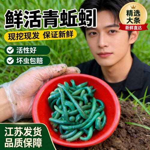 黑蚯蚓青蚯蚓特大蚯蚓钓鱼鱼饵垂钓钓黄鳝活饵活体臭蚯蚓野钓装备