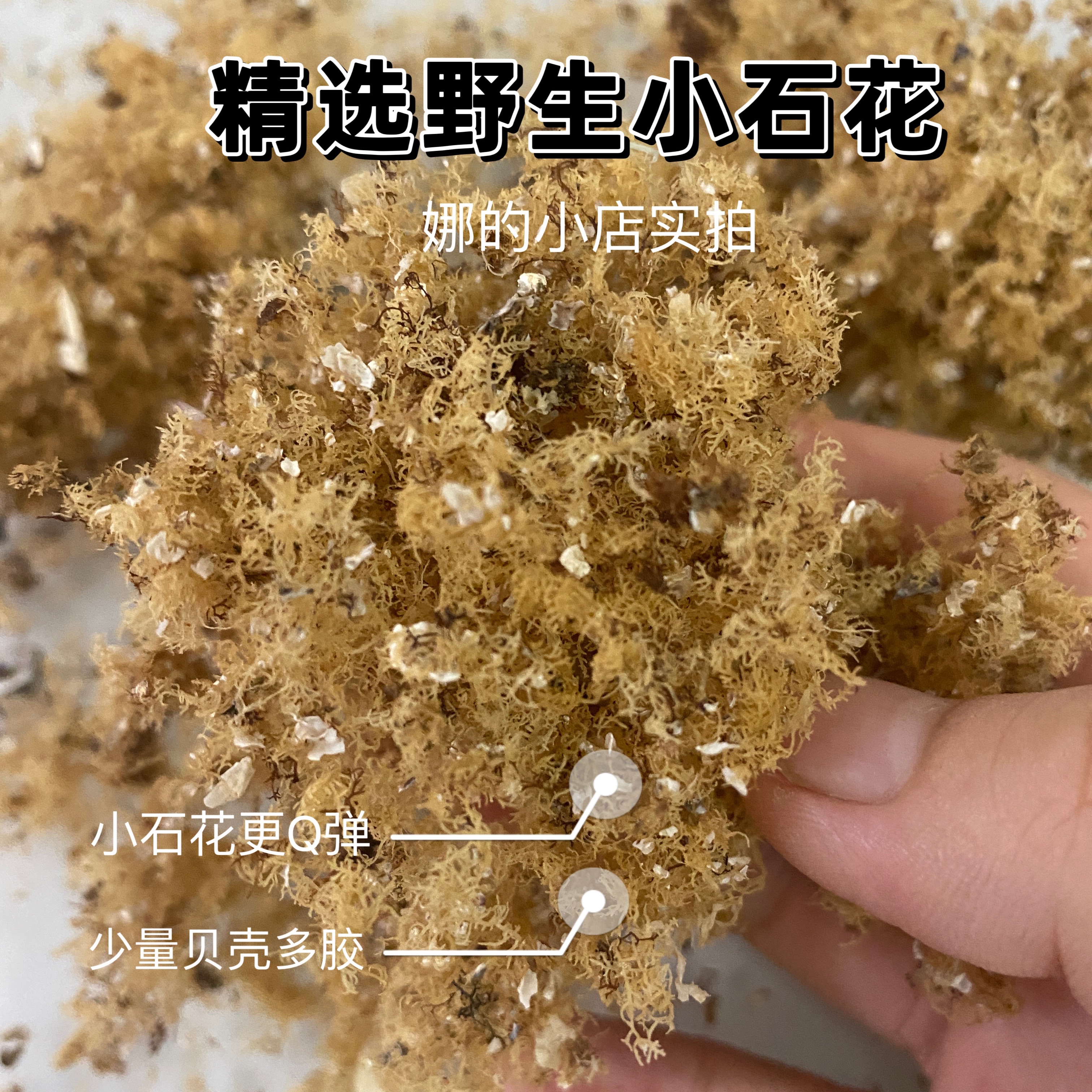 潮汕海石花精选小石花少量贝壳多胶更Ｑ弹洋菜膏岩衣胶四果汤原料 水产肉类/新鲜蔬果/熟食 海带 原图主图