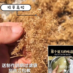 潮汕特产野生海石花草岩衣胶石花菜四果汤石花膏原料渔民自晒