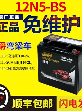雅马哈125天剑天戟YBR/JYM125摩托车统一免维护蓄电池12V5A干电瓶