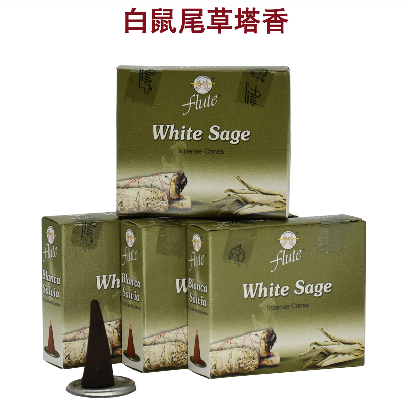 Flute印度进口白鼠尾草塔香锥香