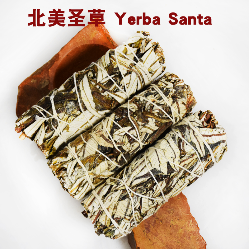 北美冬青圣耶巴草YerbaSanta